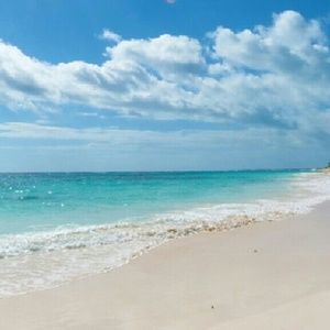 Meet your Posher, Jillian