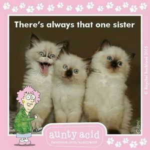 Meet your Posher, Angela