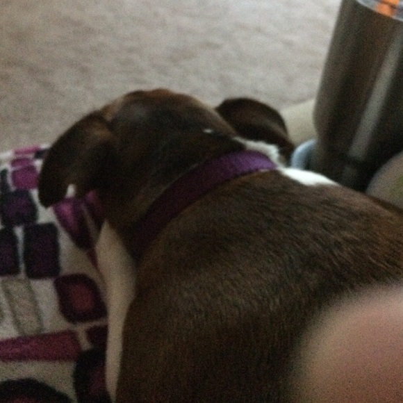 Meet your Posher, Glenda - Picture 1 of 1