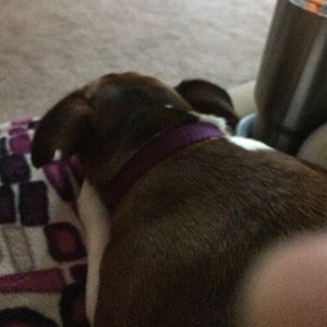 Meet your Posher, Glenda