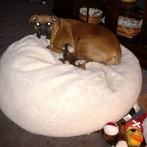 Meet your Posher, Mary