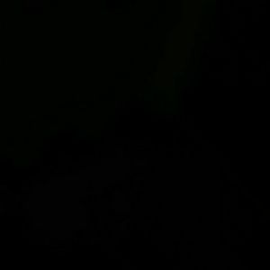 Meet your Posher, Ladonna