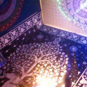 Meet your Posher, Austin