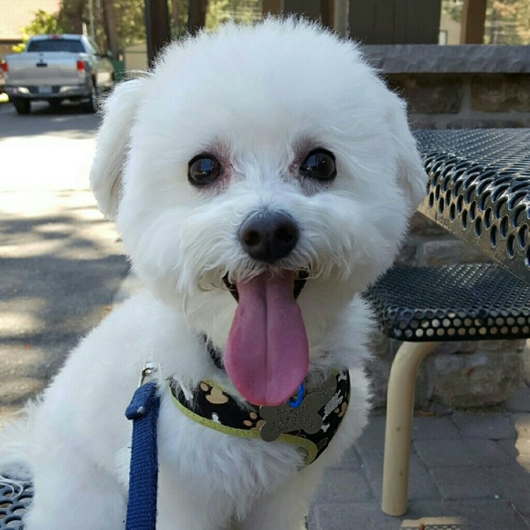 Meet your Posher, Angela - Picture 1 of 1