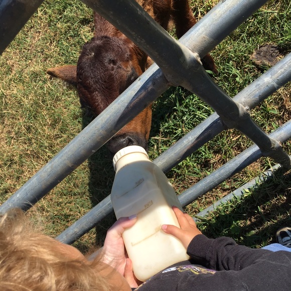 ๐Hi, I'm Amanda!๐๐๐๐
๐ฝ๐ธ๐ผ๐ฑ๐ฝ๐ถ๐ผ๐๐๐ฅโ๏ธ๐โ - Picture 2 of 4