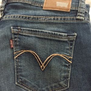 Levis Demi Curve- Low Rise Skinny Jean