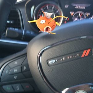 Meet your Posher, Jibin