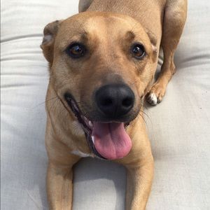 Meet your Posher, Jenny