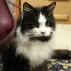 Meet your Posher, Carol