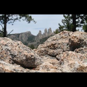 Meet your Posher, Cortney