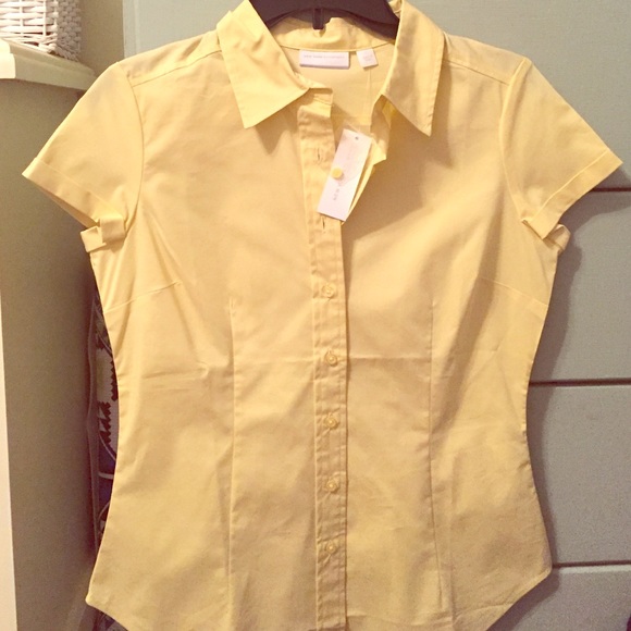 Short sleeve button down- NY & CO