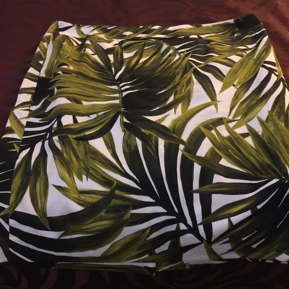 Ann Taylor Pencil Skirt