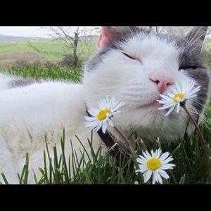 Meet your Posher, Mariela