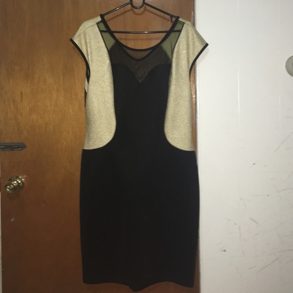 Black & Gold Mesh Dress