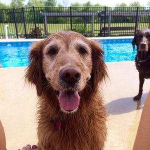 Meet your Posher, Breanne