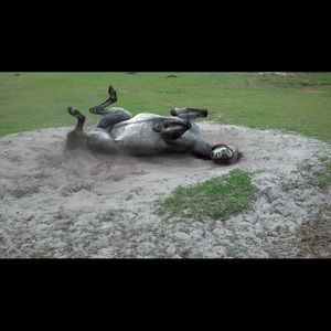 Meet your Posher, Jazmin