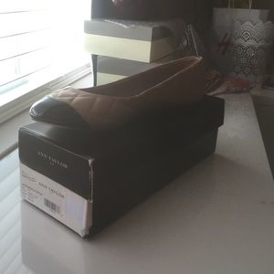 Ann Taylor flats