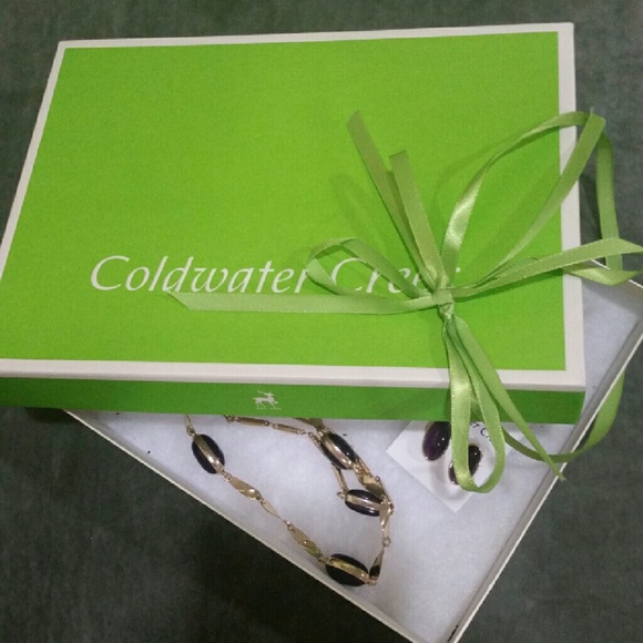 Coldwater Creek Necklace and Earring set