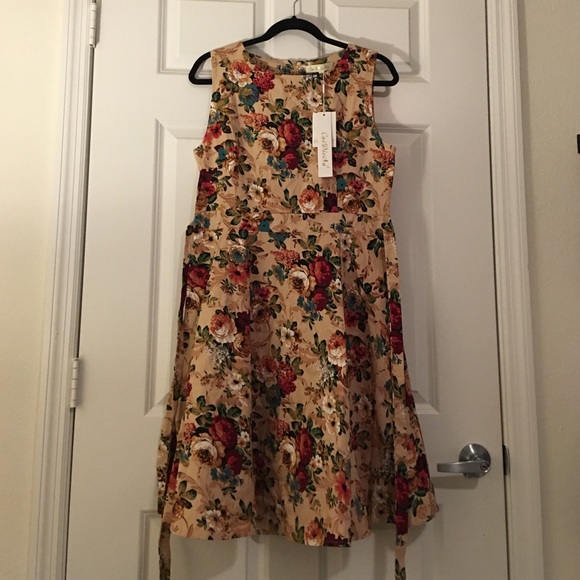 NWT Vintage Style Swing dress