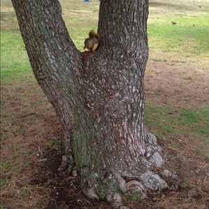 Meet your Posher, Patricia