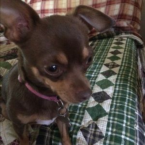 Meet your Posher, Emileen