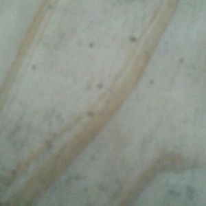 Meet your Posher, Ken