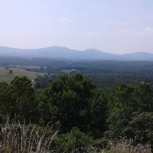 Meet your Posher, Markeeta