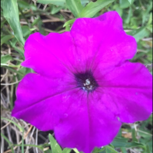 Meet your Posher, Gwythian