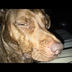 Meet your Posher, Andrew