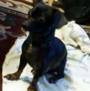 Meet your Posher, Alejandro