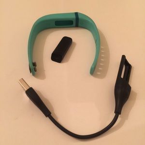 Fitbit Flex Blue