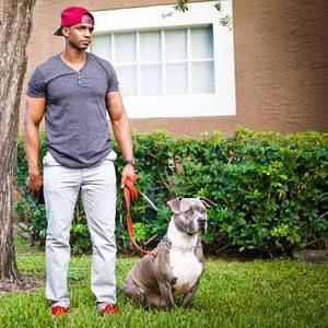 Meet your Posher, Alex