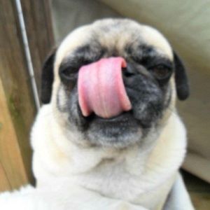 Meet your Posher, Elis