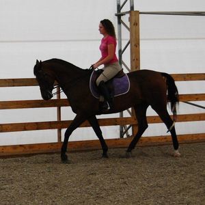 Meet your Posher, Danielle