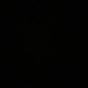 Meet your Posher, Lace