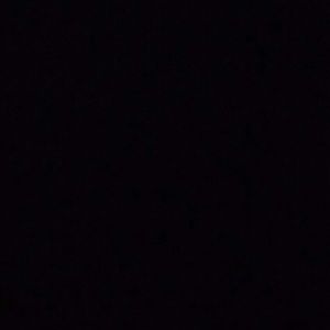 Meet your Posher, Delores