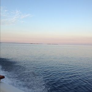 Meet your Posher, Annie