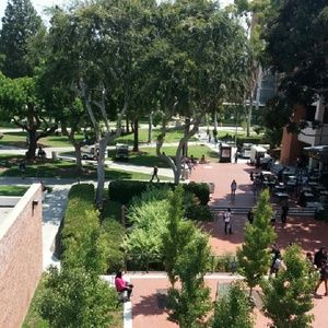 Meet your Posher, Ricardo