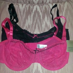 Delicate & Sexy Bras - Two For The Price Of One!