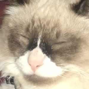 Meet your Posher, Alex