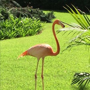 Meet your Posher, Renee