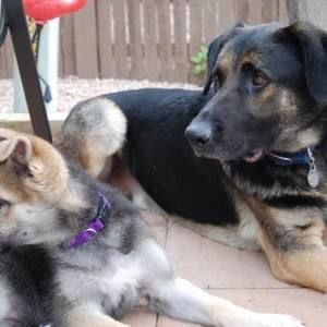 Meet your Posher, Donna