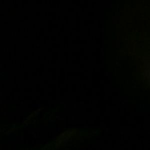 Meet your Posher, Kaeleigh