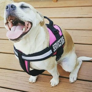 Meet your Posher, Kellie