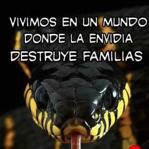 Meet your Posher, Stella