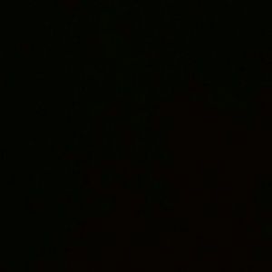 Meet your Posher, Shelena