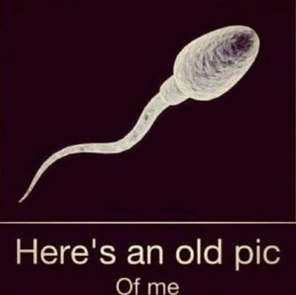 Meet your Posher, Adam - Picture 4 of 4