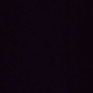 Meet your Posher, Traci