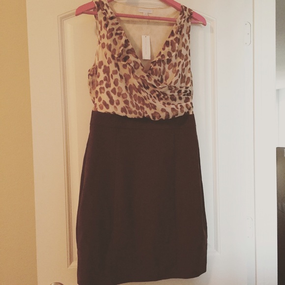 New York & Company Dresses & Skirts - NY&Co cheetah work dress