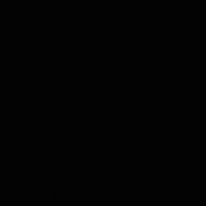 Meet your Posher, Lorie